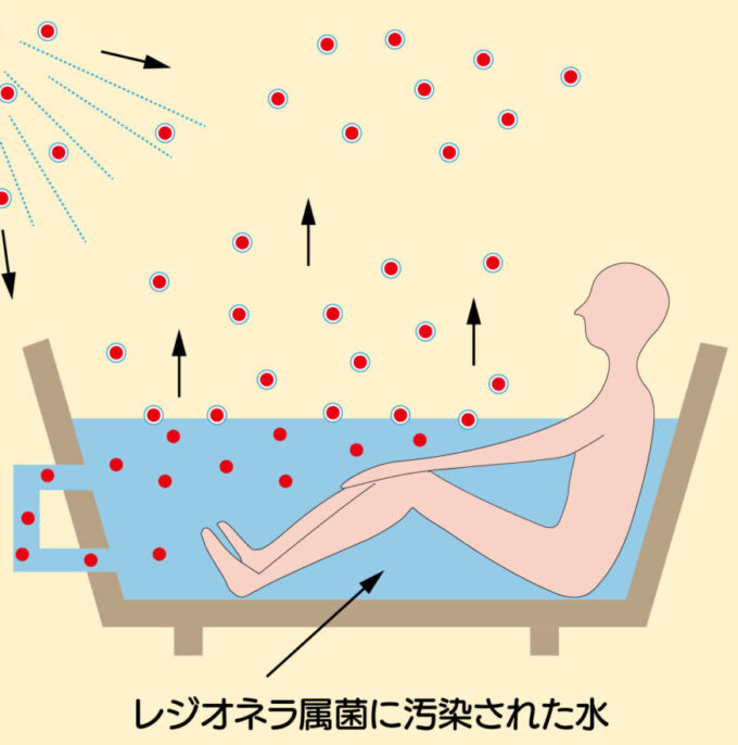 画像: NO.3 レジオネラ菌とは？