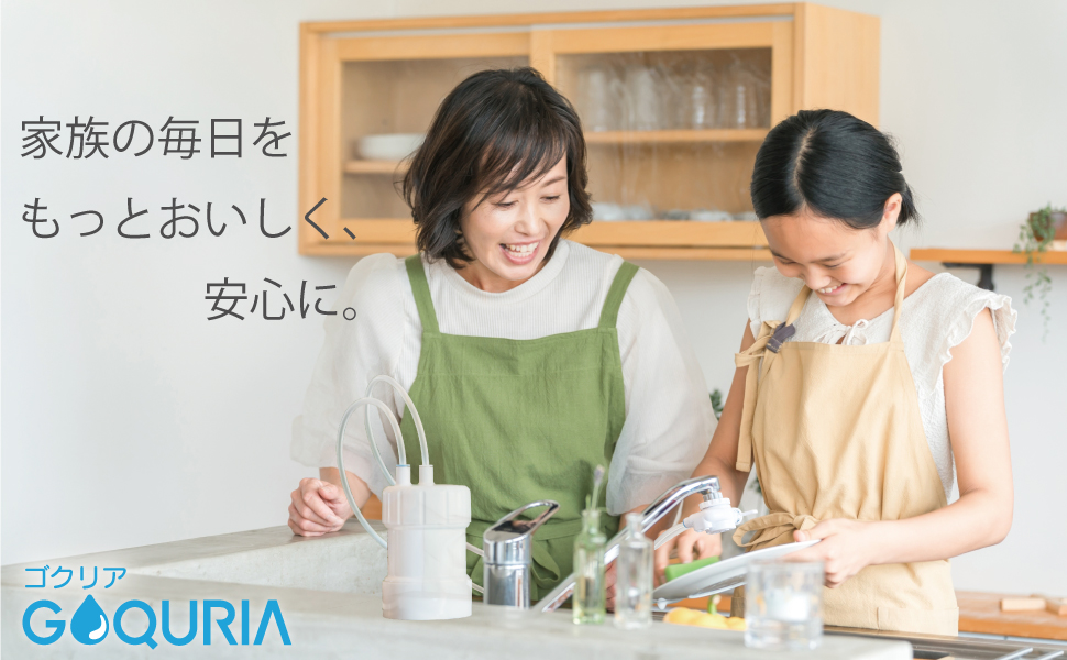 有機フッ素化合物（PFOS/PFOA）除去対応浄水器 据置型浄水器 GOQURIA